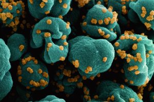 China Withholds Virus Sample, Hindering Global Response Efforts Initially