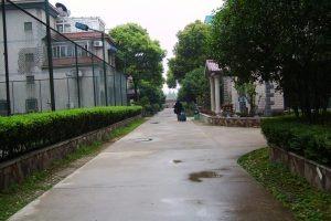 China Virus Death Toll Reaches 82, Firms Order Remote Work