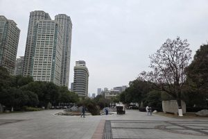 China Locks Down Wuhan, Trapping 11 Million to Contain Virus