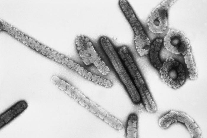 2023 Equatorial Guinea Marburg virus disease outbreak