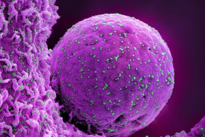 BA.2.86 heavily-mutated Omicron subvariant sparks global health concern