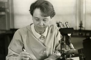 Unraveling the Connection Between Diet and Cancer Risk: A Novel Discovery