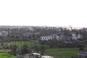 Gaza Records First Polio Case in 25 Years