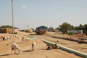 Cholera Outbreak in Sudan Kills 58, Affects 1,293