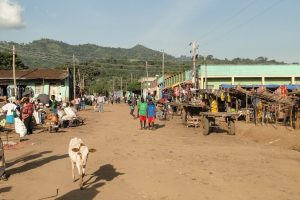 Marburg Virus Outbreak Hits Remote Ethiopian Market Town Jinka Suddenly