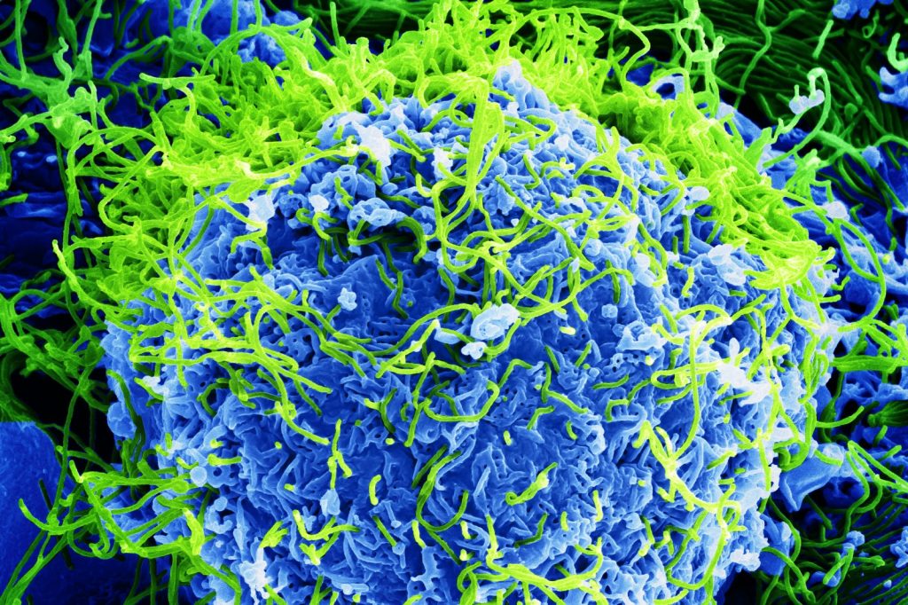 WHO Declares Ebola Epidemic Emergency