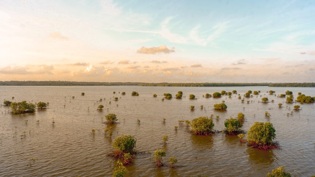 Floodwaters submerge a coastal village in Southern India after Cyclone Fengal made landfall.