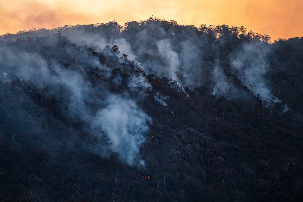 Thick smoke from California wildfires drifts over a residential area, with fire crews working in the distance.