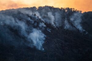 HHS Declares Health Emergency for California Wildfires