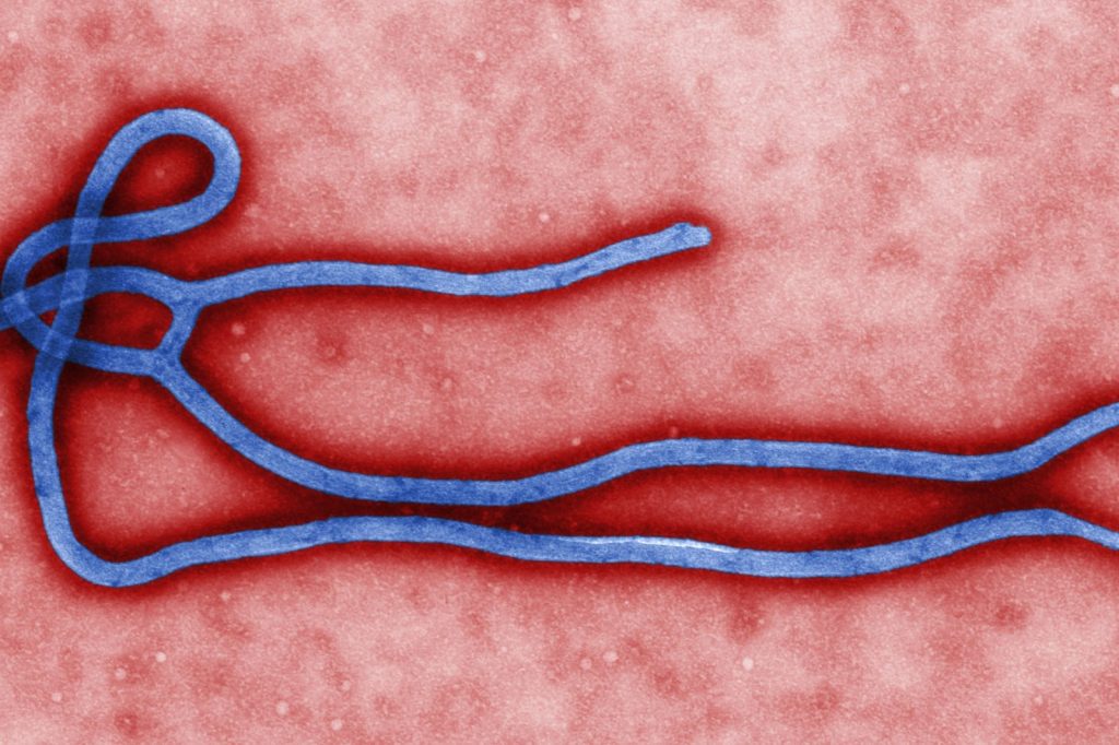Congos Untreatable Ebola Strain Spreads Across Two Countries