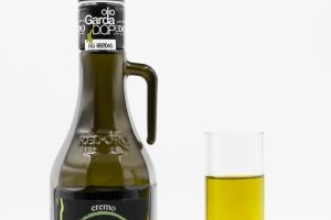 Yale Study Finds Olive Oil May Boost Pancreatic Tumors in Male Mice