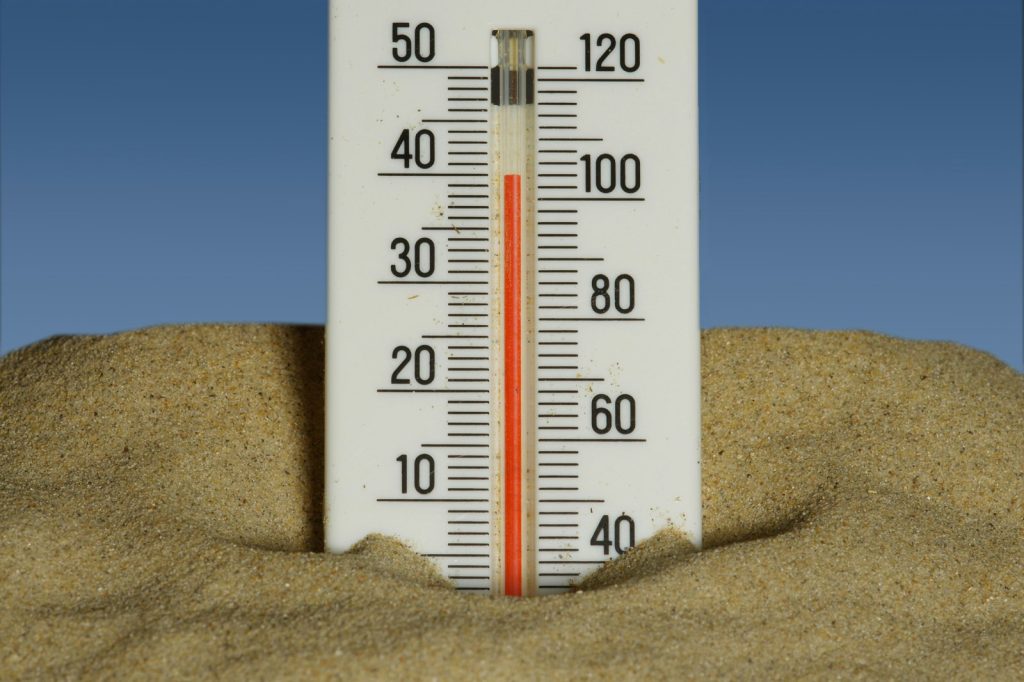 WHO reports 1,300 excess deaths in Europe amid record heatwave
