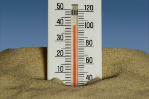 WHO reports 1,300 excess deaths in Europe amid record heatwave