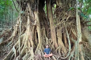 Mindfulness reduces stress in liver cancer patients
