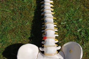 Pain Psychologist’s Own Paralysis Led to New Understanding of Chronic Pain