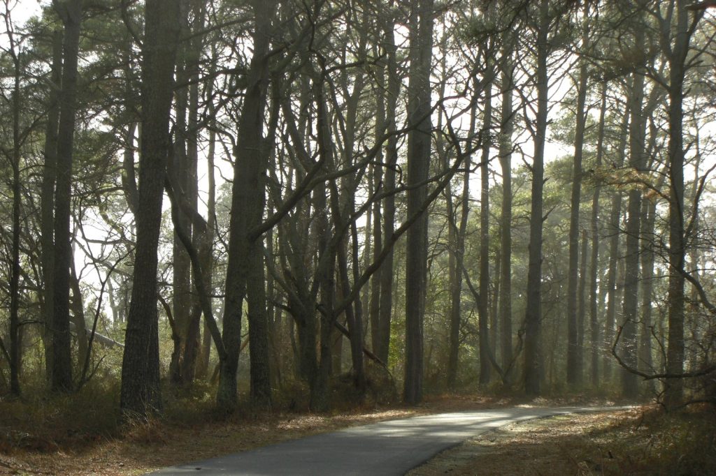 WILDLIFE HABITATS NEAR PARKS LINKED TO LONGER LIVES