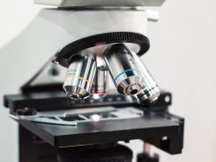Study Finds Cancers Hiding from T Cells May Be More Vulnerable to Immune Attack Study Finds Cancers Hiding from T Cells May Be More Vulnerable to Immune Attack
