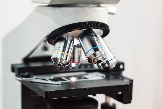 Study Finds Cancers Hiding from T Cells May Be More Vulnerable to Immune Attack Study Finds Cancers Hiding from T Cells May Be More Vulnerable to Immune Attack