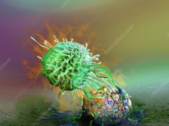 Scientists Capture 3D View of Killer T Cells Attacking Cancer Scientists Capture View Killer Cells Attacking