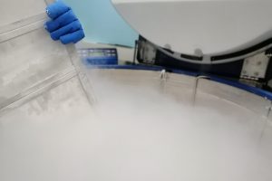 Ernexa Therapeutics Plans Q4 2026 Clinical Trial for ERNA-101 Therapy