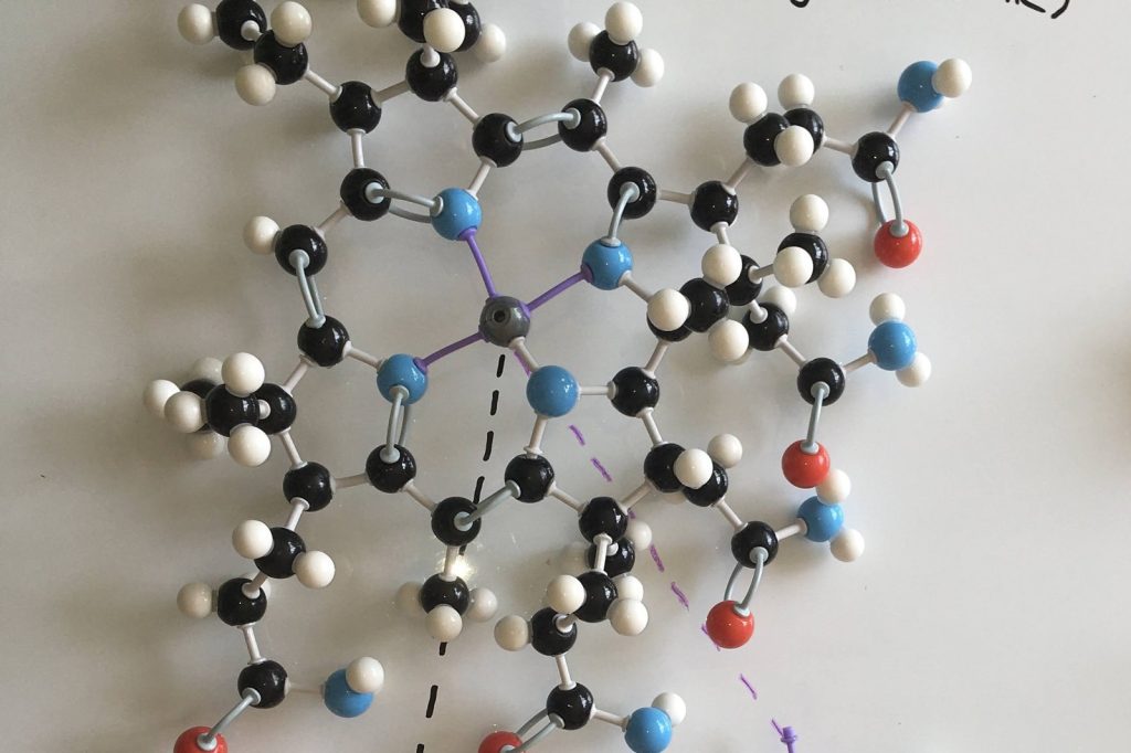 Scientists Used Vitamin B12 to Sneak a Cancer-Killer into the