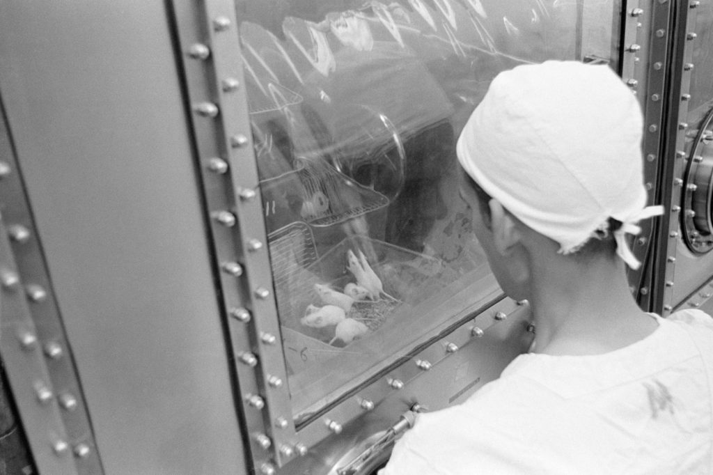 Cancer Mutation and High-Fat Diet Linked to Wasting Syndrome in Mice