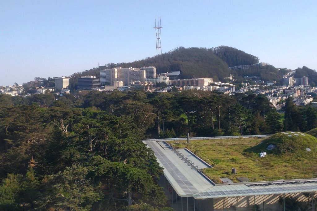 Key Players in the Research: UCSF and Collaborators Behind the Study