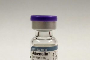 Catecholamines Drive Stress Response from Dietary Tyrosine