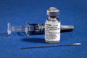 Novel Vaccine Trains Immune System to Fight Fentanyl