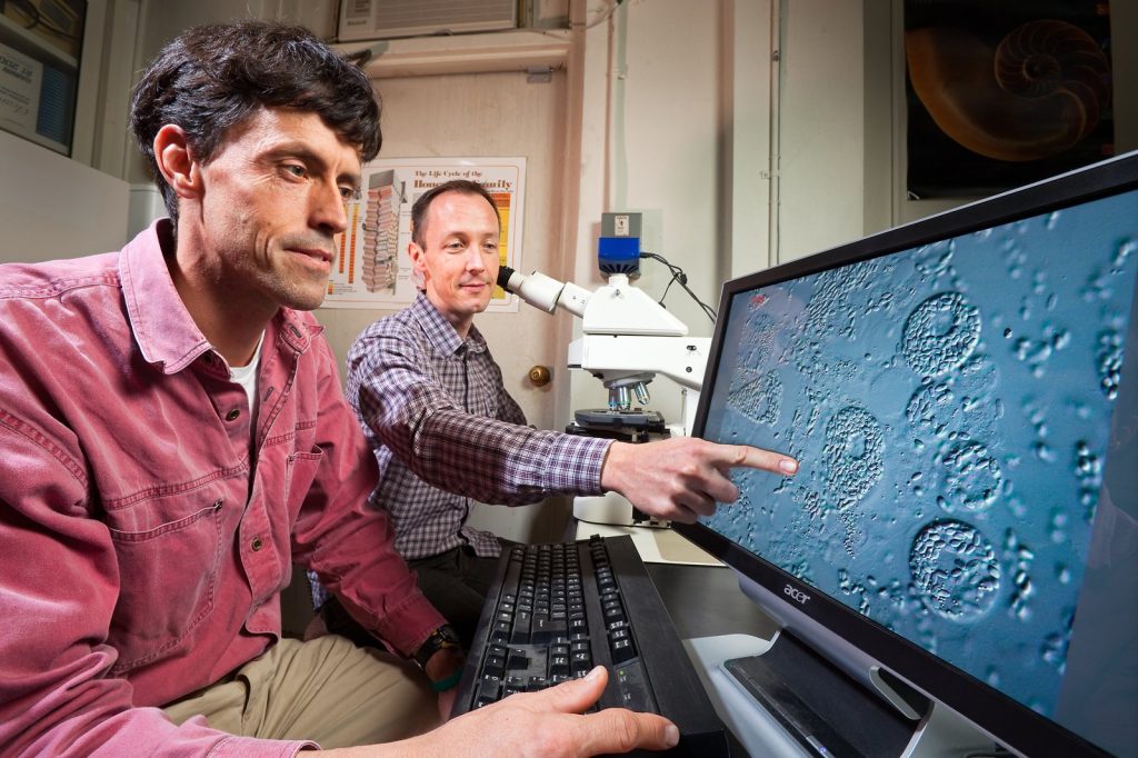 Cyclospora cayetanensis: The Elusive Parasite Behind Foodborne