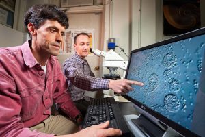 Cyclospora cayetanensis: The Elusive Parasite Behind Foodborne