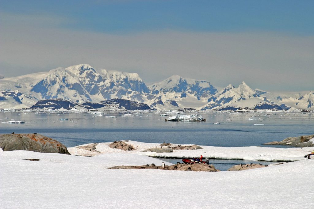 Antarctic Marine Life Yields New Medical Breakthroughs