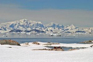 Antarctic Marine Life Yields New Medical Breakthroughs
