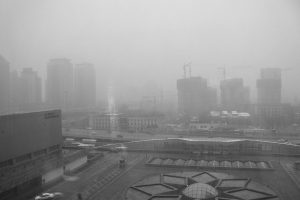 Fine Particulate Matter Harms Human Health and Brain Development