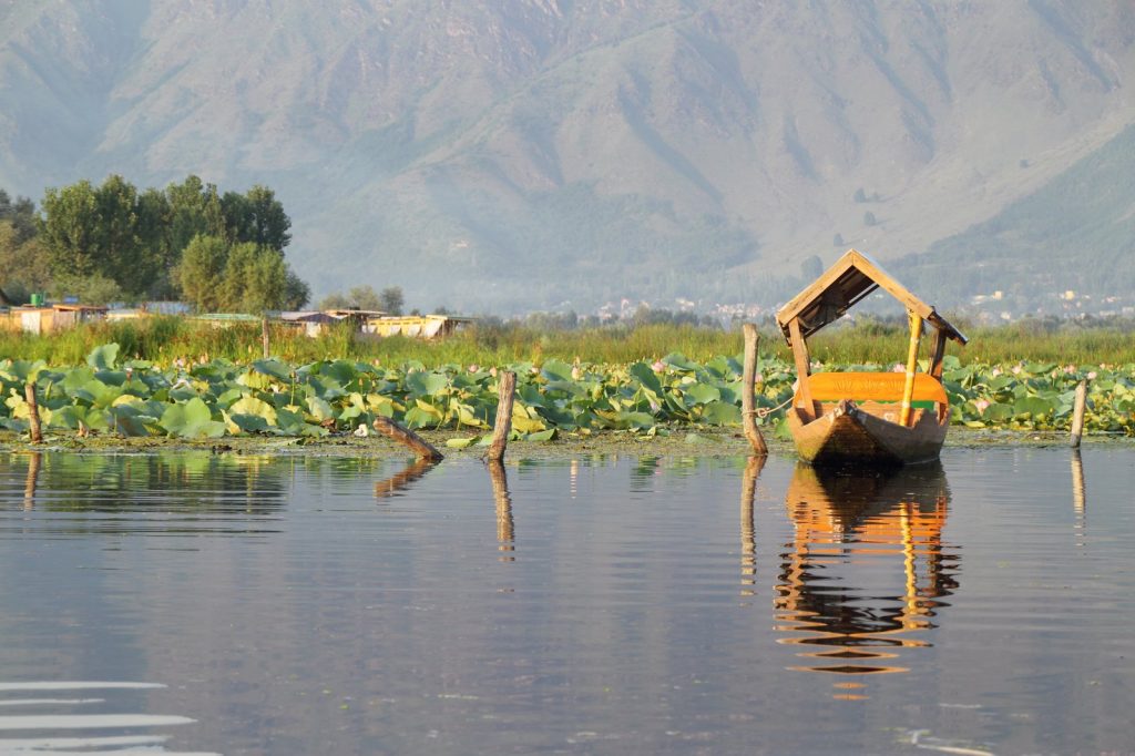 Cancer care strategy overhaul launched in Jammu and Kashmir
