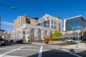 Harvard Retracts Cancer Paper Over Image Duplication
