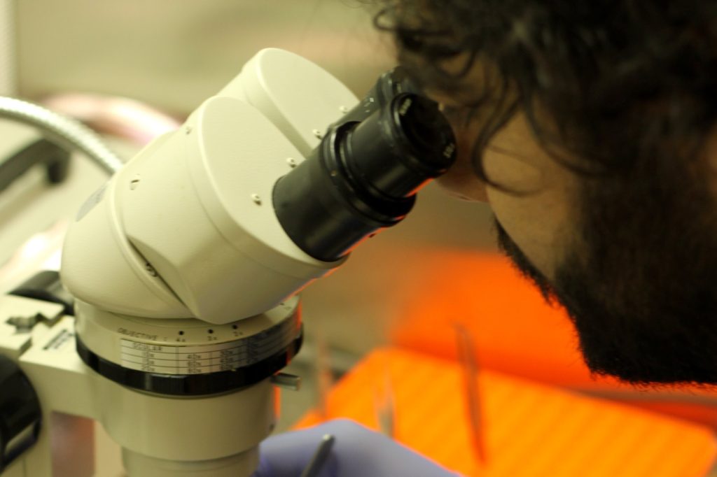 Trethera Scientist Dr. Gary J. Peltz Leads dCK Inhibitor Development
