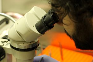 Trethera Scientist Dr. Gary J. Peltz Leads dCK Inhibitor Development