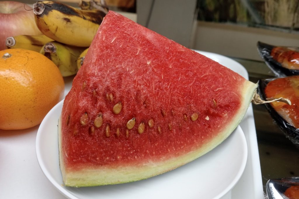Dr. Maya Rosman\u2019s Memo Challenges Suspicion About Watermelon\u2019s Nutritional Value