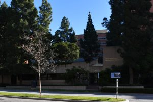 UCLA review reveals key enzyme in cancer drug resistance