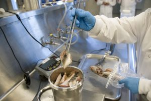UK Food Agency: 20 Years of Public Health Protection