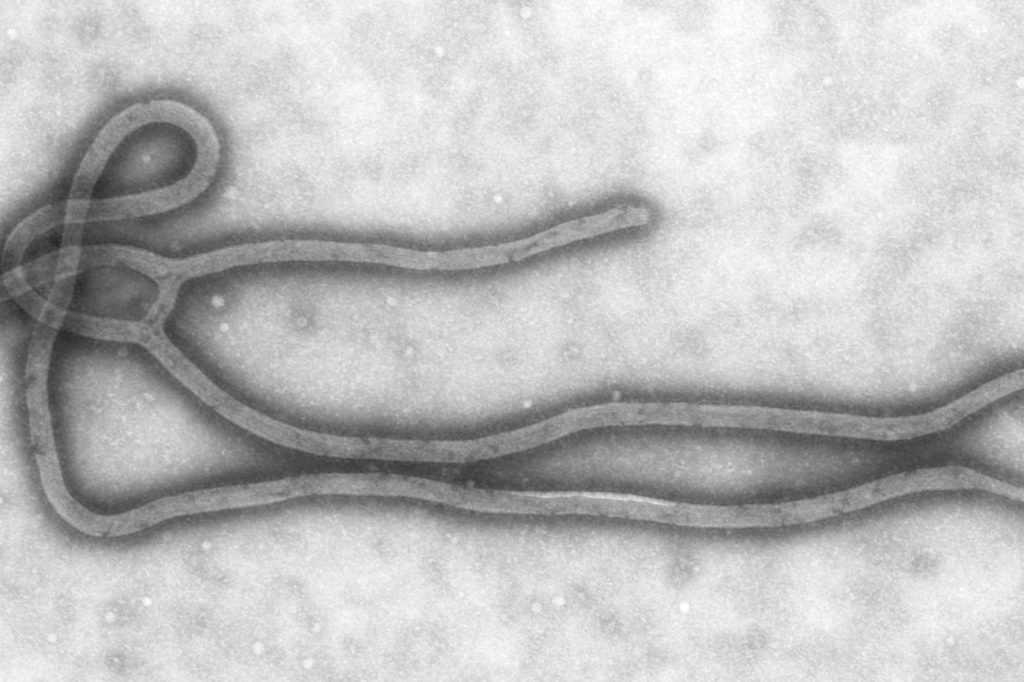 DRC Ebola Cases Top 7,000; Officials Say Spread May Have Peaked