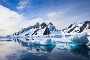 Sea Squirt from Antarctic Depths Holds Promise for Melanoma Treatment