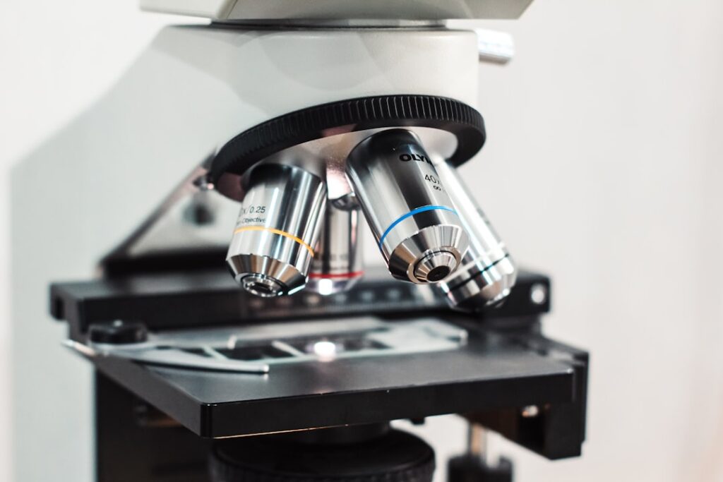 Study Finds Cancers Hiding from T Cells May Be More Vulnerable to Immune Attack