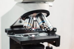 Study Finds Cancers Hiding from T Cells May Be More Vulnerable to Immune Attack
