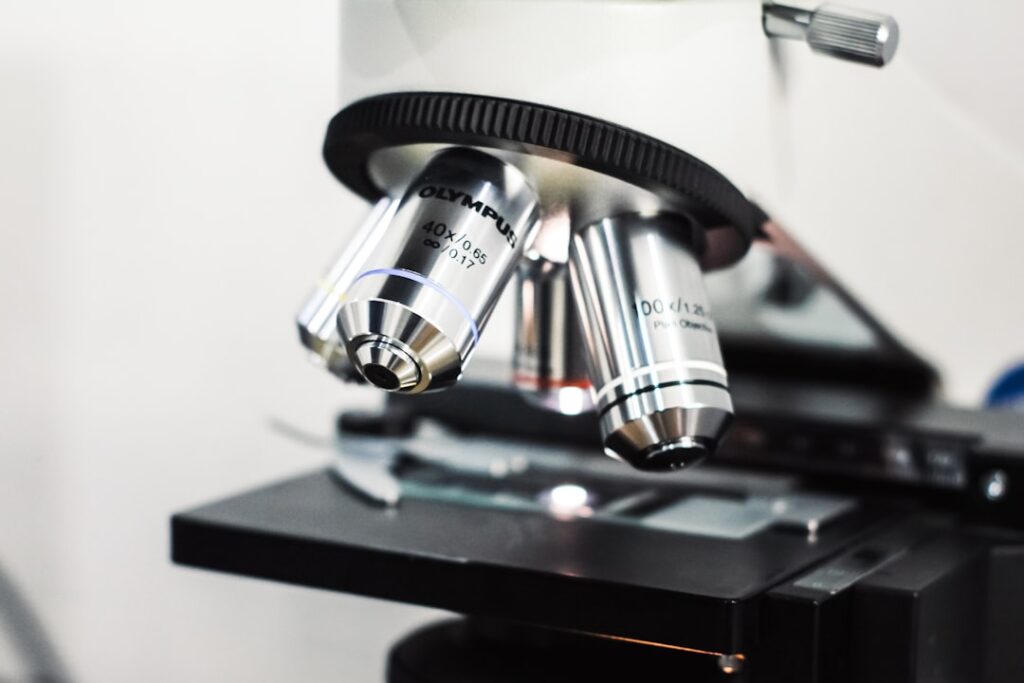 Researchers Unveil 3D Microscopy of T Cell Killing Cancer Cells