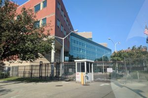 FDA Fully Approves Inluriyo Plus Verzenio for ESR1-Mutated Breast Cancer