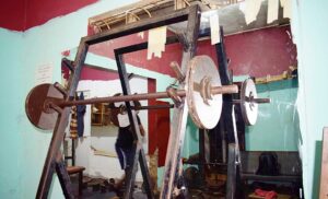 Study: Targeted Exercise Can Reverse Bone Density Loss in Men Over 45