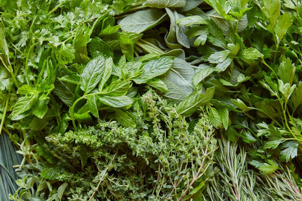 Herb