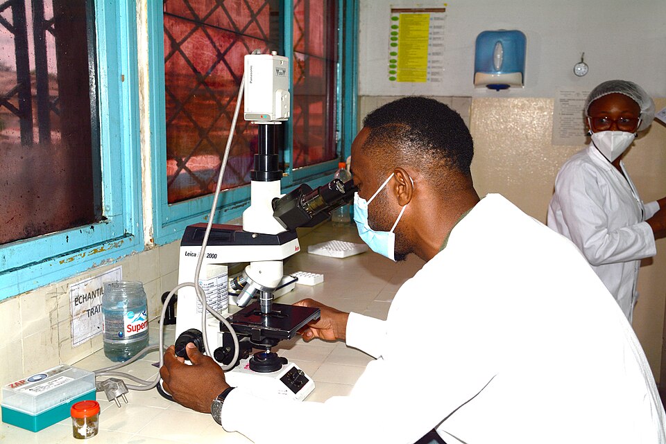 Physician In A Medical Laboratory